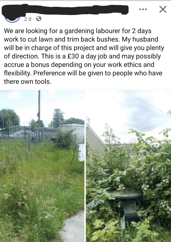 A Facebook post seeking a gardening laborer for two days of work to cut the lawn and trim bushes. Offering £30 per day, with a possible bonus. Preference for those with their own tools. The image shows an overgrown yard with tall grass and dense bushes near a fence.