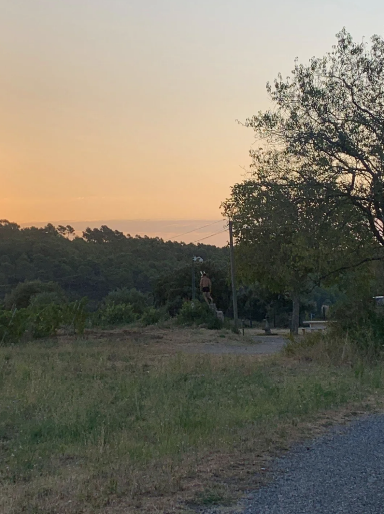 A serene rural landscape at twilight featuring a gravel path winding through grass and shrubs. Silhouetted against the setting sun, utility poles and a tree frame the scene. A forested area lies in the background, with a soft orange glow illuminating the sky.