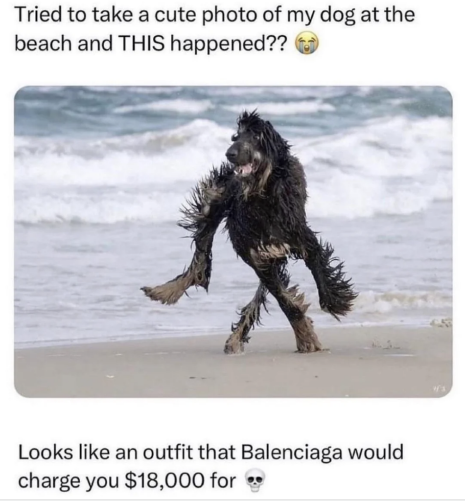 A wet, shaggy dog is walking on a beach with waves in the background. The dog appears to have a funny, disheveled look due to the wet fur. The top text says, "Tried to take a cute photo of my dog at the beach and THIS happened??" and the bottom text reads, "Looks like an outfit that Balenciaga would charge you $18,000 for.