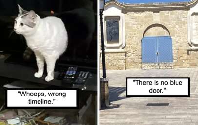 Left image: A cat stands on an entertainment center among various electronic devices. A caption underneath reads, "Whoops, wrong timeline." Right image: A stone building with a closed blue door. A caption under the image reads, "There is no blue door.