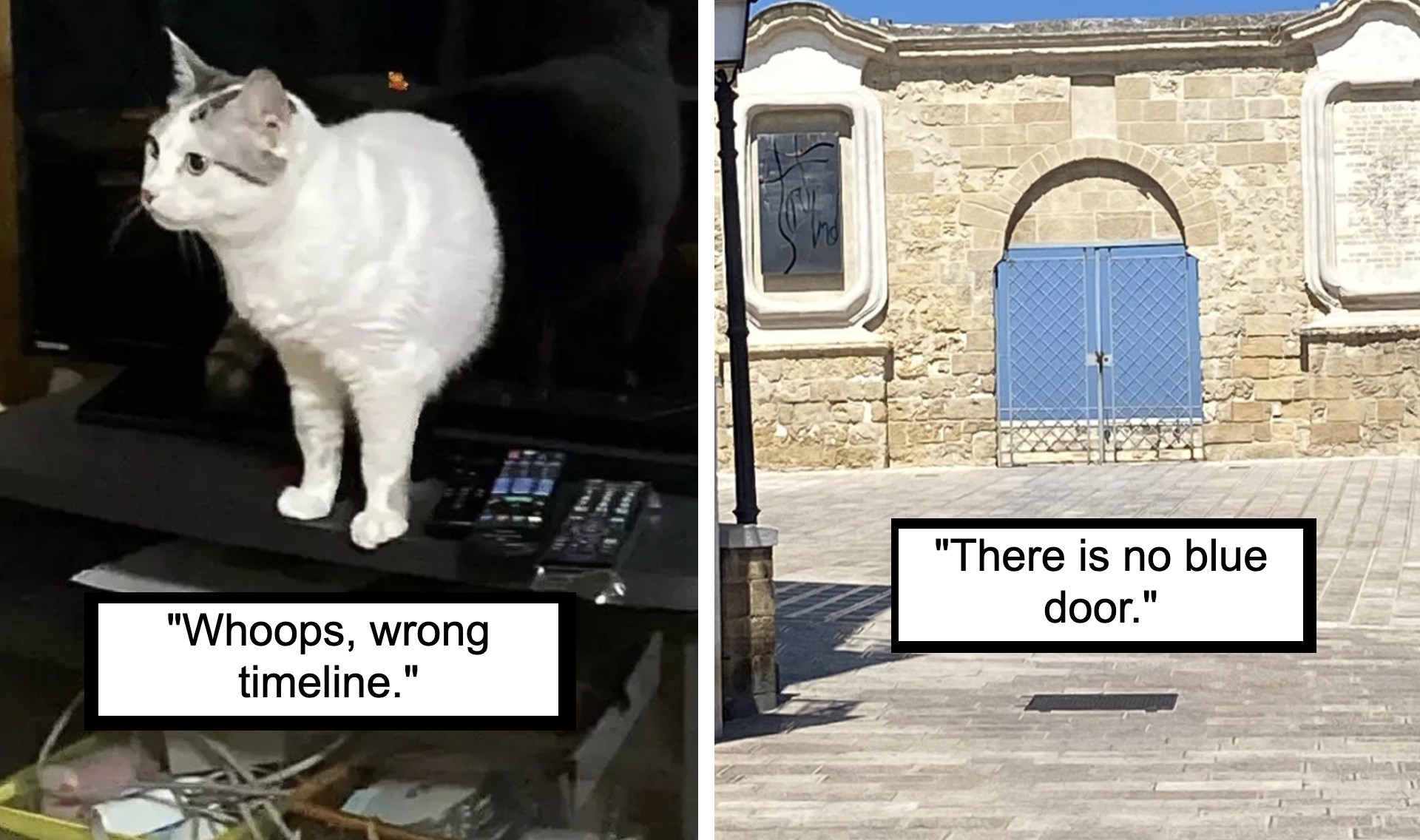 Left image: A cat stands on an entertainment center among various electronic devices. A caption underneath reads, "Whoops, wrong timeline." Right image: A stone building with a closed blue door. A caption under the image reads, "There is no blue door.