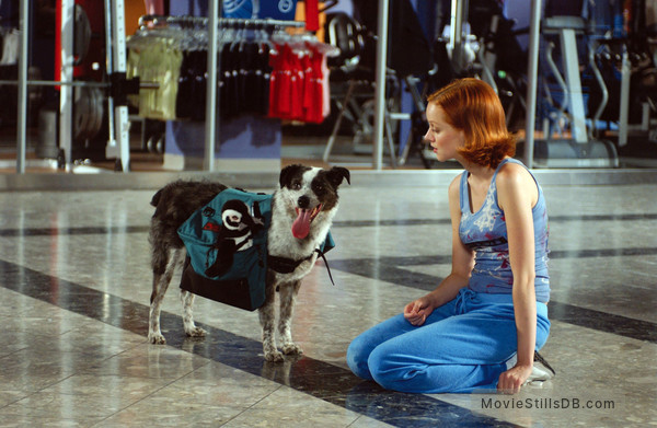 A woman with short red hair, dressed in a blue tank top and blue pants, kneels on a tiled floor in a store. She is looking at a dog with a gray and white coat wearing a green backpack. The store has clothing racks in the background.