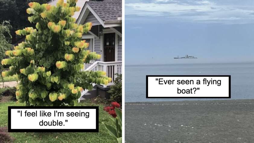 On the left, a bush with flowers that resemble lightbulbs in front of a house. Caption: "I feel like I'm seeing double." On the right, a ship appears to levitate above the ocean due to a mirage. Caption: "Ever seen a flying boat?