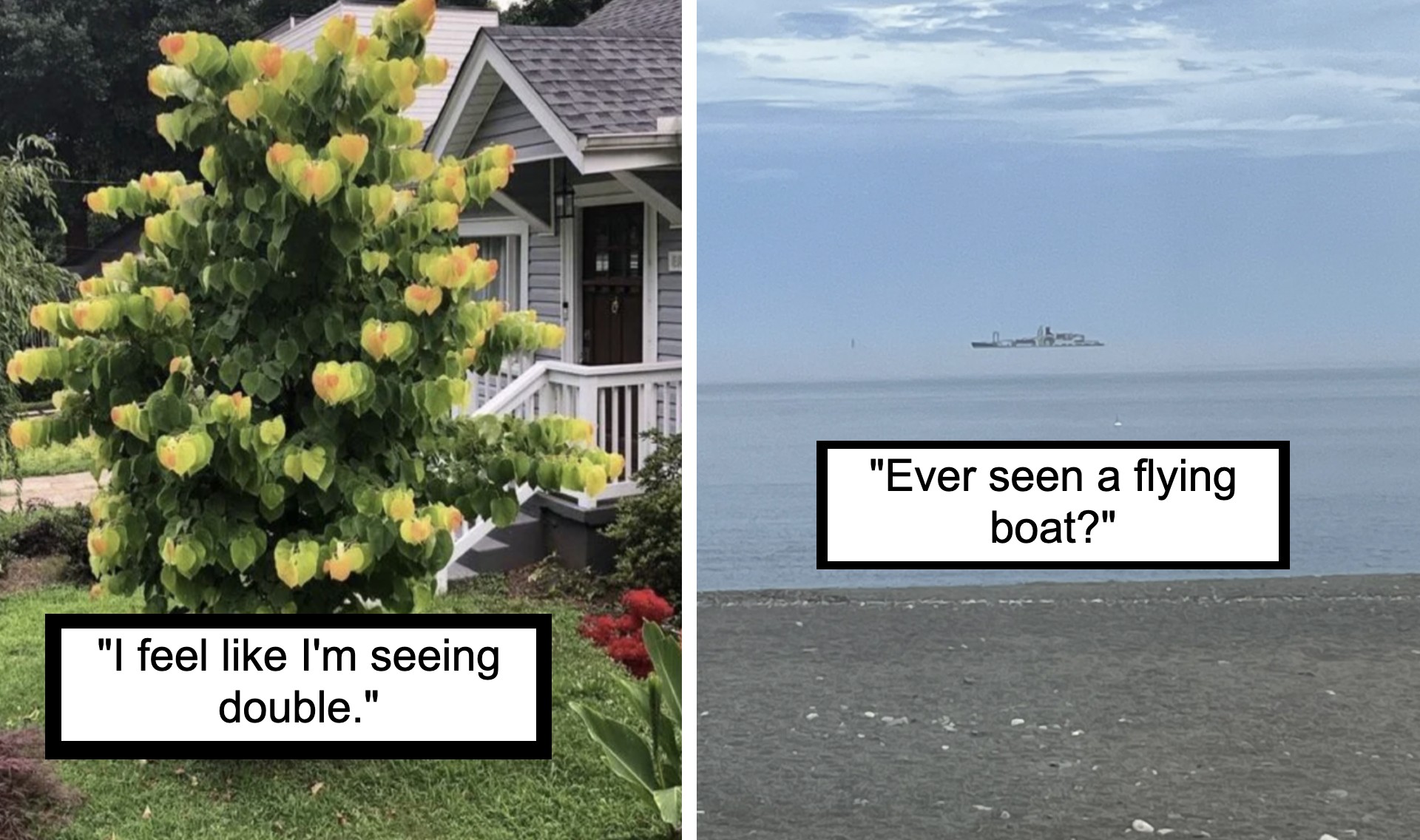 On the left, a bush with flowers that resemble lightbulbs in front of a house. Caption: "I feel like I'm seeing double." On the right, a ship appears to levitate above the ocean due to a mirage. Caption: "Ever seen a flying boat?