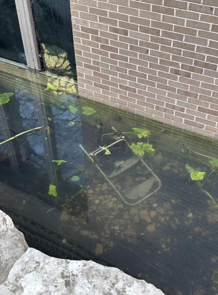 A partially submerged folding chair is visible underwater against a brick wall. Floating leaves are dispersed across the water's surface, and reflections of nearby trees are faintly seen. A section of the stone ledge is present in the foreground.