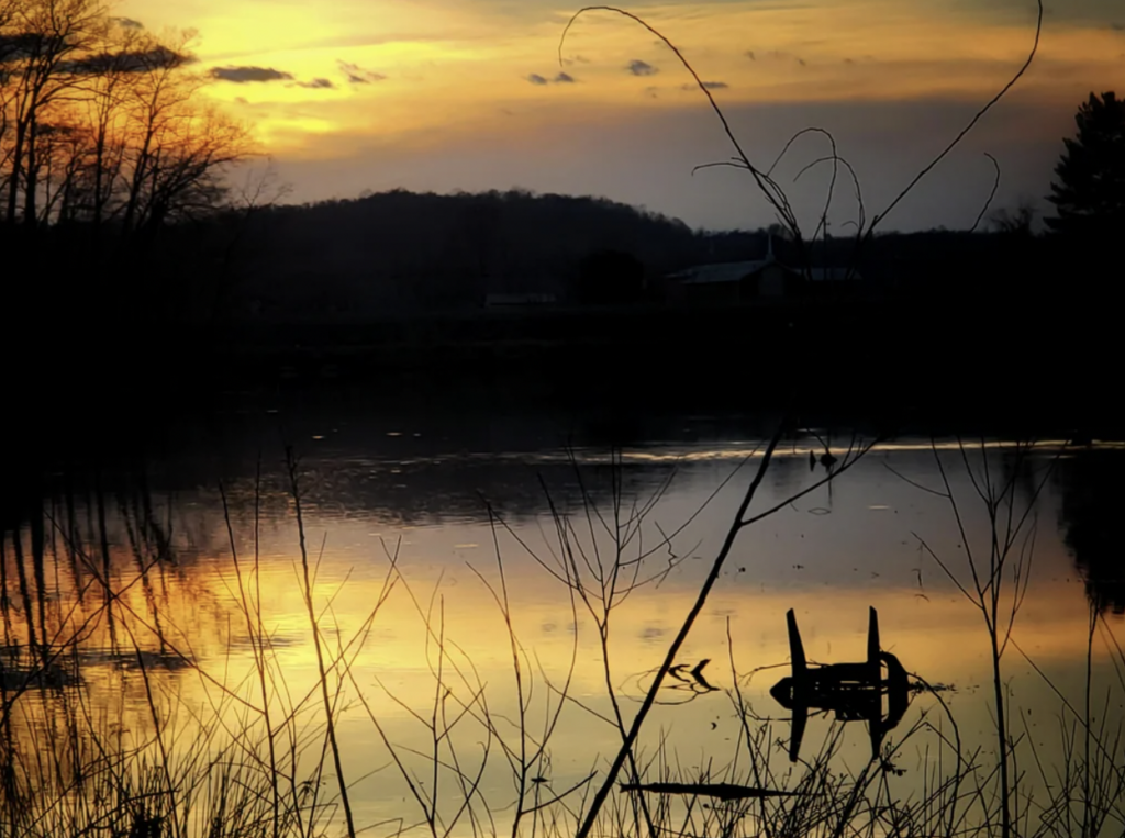 A serene sunset reflects on a calm lake with silhouetted tree branches in the foreground. A small, half-submerged chair near the water's edge adds a mysterious touch to the tranquil scene. Distant hills and a building are visible on the horizon.