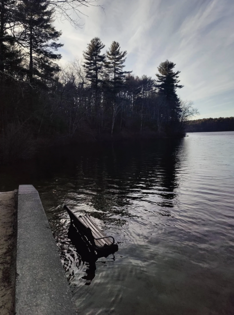 A serene lakeside scene with a partially submerged bench near the shore. Tall trees line the background under a cloudy sky, casting reflections on the calm water. The bench appears to be in the water, close to a concrete edge of the lake.