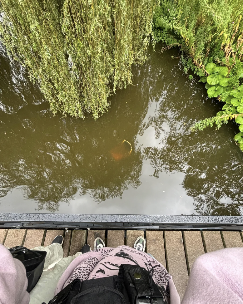 View from above of two people standing on a wooden bridge over a pond with green foliage and a willow tree hanging over the water. The murky water reflects the sky and trees, and a fish is faintly visible below the surface.