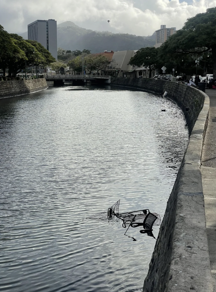 A canal with calm water running through an urban area. Two shopping carts are partially submerged near the stony edge of the canal. Trees line both sides of the canal, and buildings are visible in the background under a cloudy sky.