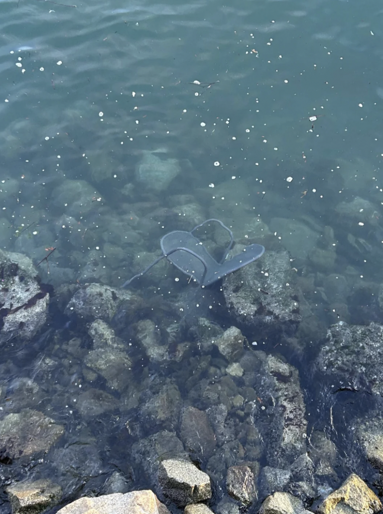 A single black sandal lies submerged in clear water among rocks and pebbles. The sandal is partially visible, resting against the stones at the bottom of the shallow water.