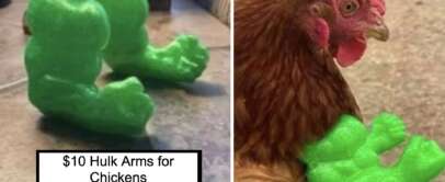 Two side-by-side images of green, muscular "Hulk" arms for chickens. The left image shows the standalone toy, while the right image shows a chicken with the green "Hulk" arms attached, giving the appearance of the chicken having the bulky arms. Text reads: "$10 Hulk Arms for Chickens.