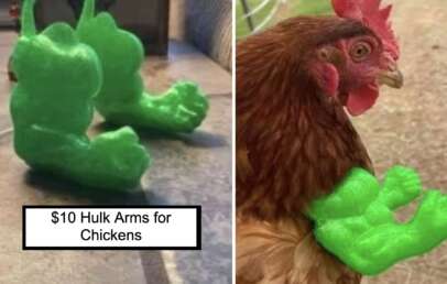 Two side-by-side images of green, muscular "Hulk" arms for chickens. The left image shows the standalone toy, while the right image shows a chicken with the green "Hulk" arms attached, giving the appearance of the chicken having the bulky arms. Text reads: "$10 Hulk Arms for Chickens.