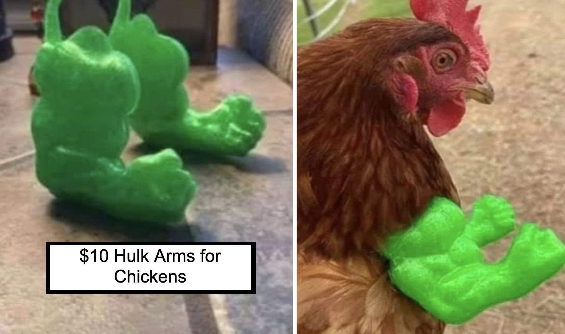 Two side-by-side images of green, muscular "Hulk" arms for chickens. The left image shows the standalone toy, while the right image shows a chicken with the green "Hulk" arms attached, giving the appearance of the chicken having the bulky arms. Text reads: "$10 Hulk Arms for Chickens.