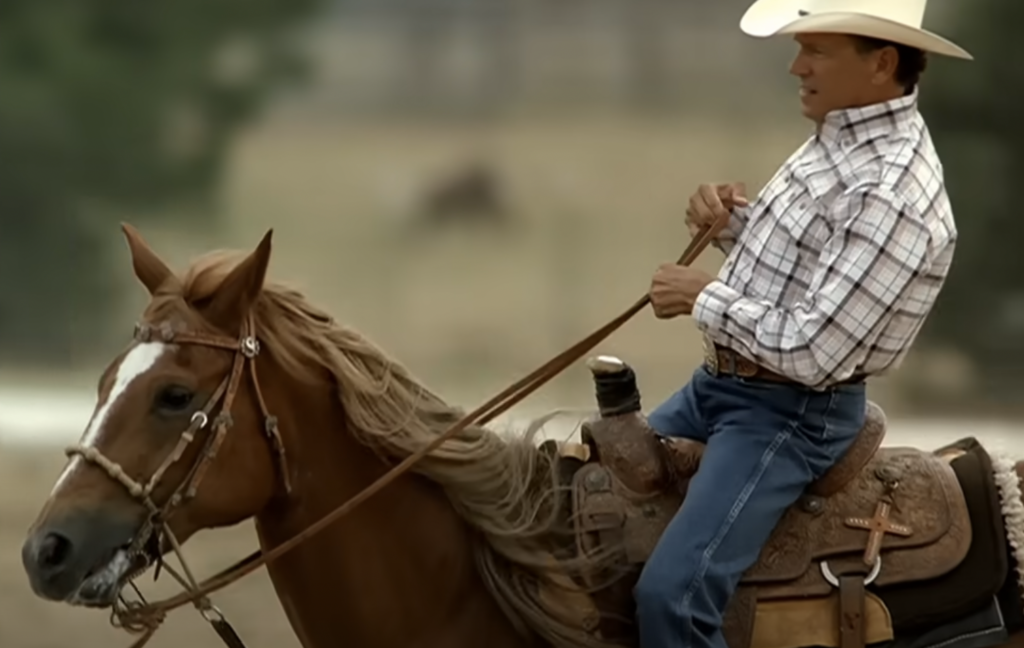 A person wearing a white cowboy hat, plaid shirt, and blue jeans rides a brown horse with white facial markings and a flowing mane. The rider is holding the reins in one hand, and the scene appears to be an outdoor, rural setting.