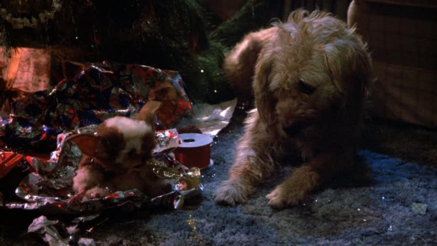 A small creature with large ears is partially wrapped in festive paper under a Christmas tree. A fluffy dog lies nearby, observing the creature with curiosity. The scene is lit with holiday lights, creating a cozy and festive atmosphere.