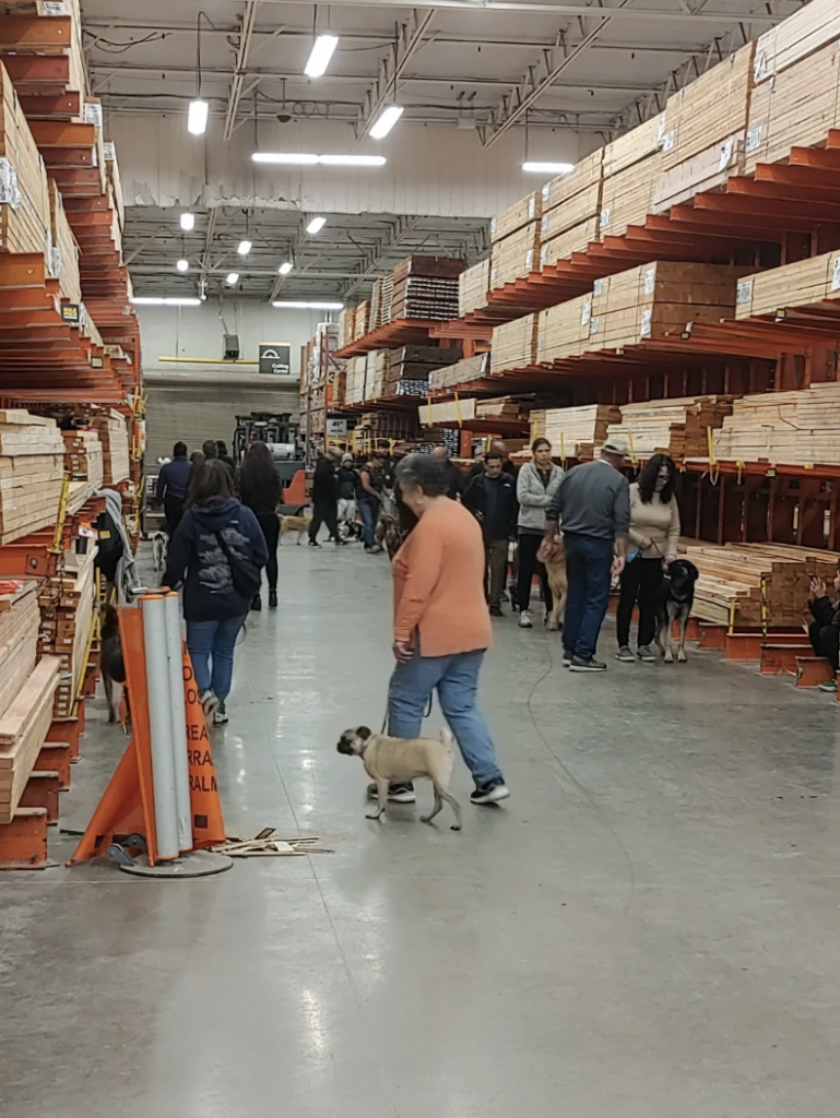 A large indoor space appears to be a hardware store with shelves filled with wood planks. Several people and their dogs are walking down the aisle. One person in an orange sweater is leading a small dog on a leash. The floor is concrete, and the lighting is bright.