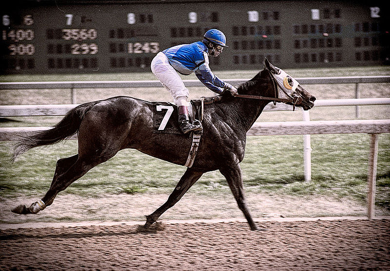 A jockey in a blue uniform and helmet rides a dark-coloured horse marked with the number 7 on a dirt racetrack. The horse is mid-stride, and a blurred scoreboard can be seen in the background.