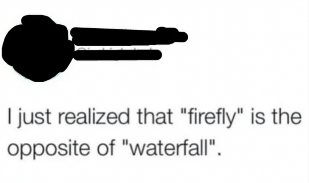 A text meme with blacked-out user information states, "I just realized that 'firefly' is the opposite of 'waterfall'.
