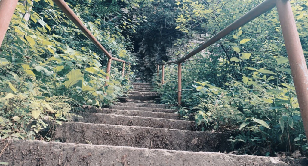 A concrete stairway with rusted metal railings ascends through dense vegetation, leading towards a dark, overgrown opening at the top. The surrounding greenery suggests a secluded natural area or an abandoned location.