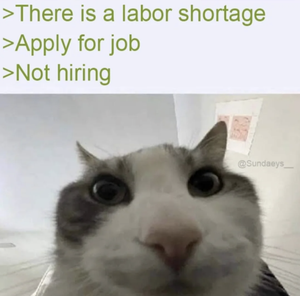 A close-up view of a cat's face looking directly at the camera, as if confused or curious. Above the cat, text reads: ">There is a labor shortage >Apply for job >Not hiring". The background is a simple indoor setting. The image is marked with "@Sundaeys__".