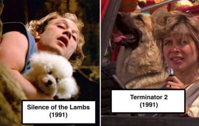 Split image: Left side shows a person with curly blonde hair holding a white poodle from "Silence of the Lambs" (1991). Right side shows a woman with tousled hair, a German Shepherd dog, and holding a walkie-talkie from "Terminator 2" (1991). Labels are present.