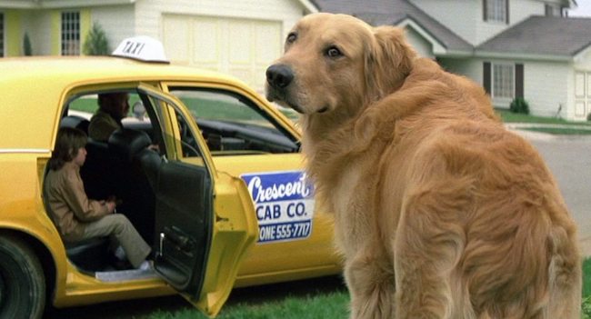 A large golden retriever stands in the foreground, looking at the camera. In the background, a yellow taxi from "Crescent Cab Co." is parked with its door open, and two children are seated inside. Houses are visible in the distance.