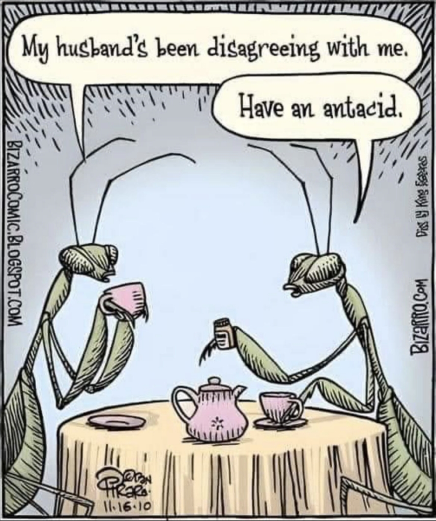 A cartoon shows two praying mantises sitting at a table with tea cups and a teapot. One mantis says, "My husband's been disagreeing with me." The other mantis replies, "Have an antacid." The comic is signed by Piraro and dated 11-16-10.