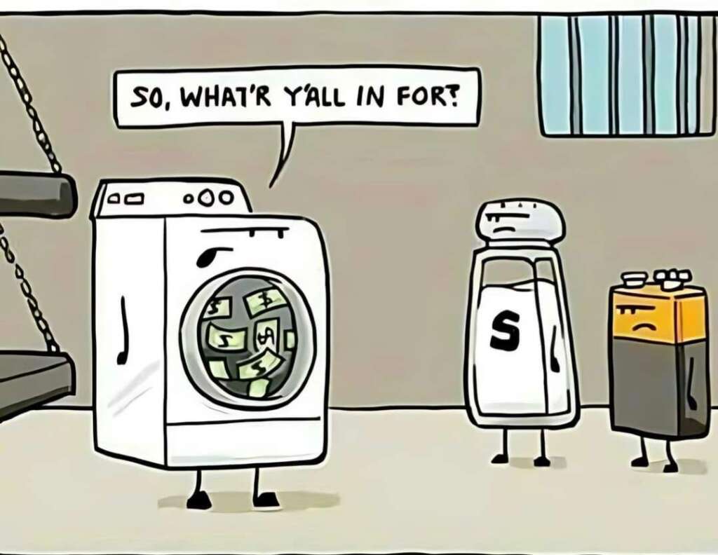 A cartoon shows an anthropomorphized washing machine with money inside its drum asking, "So, what y'all in for?" to a salt shaker and a battery, all appearing as inmates in a jail cell setting.