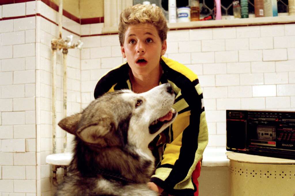 A young boy with curly hair, wearing a colorful jacket, looks surprised in a bathroom with white tiled walls. In front of him is a large dog with a wolf-like appearance, sitting and gazing upwards. A black radio is seen beside the bathtub.