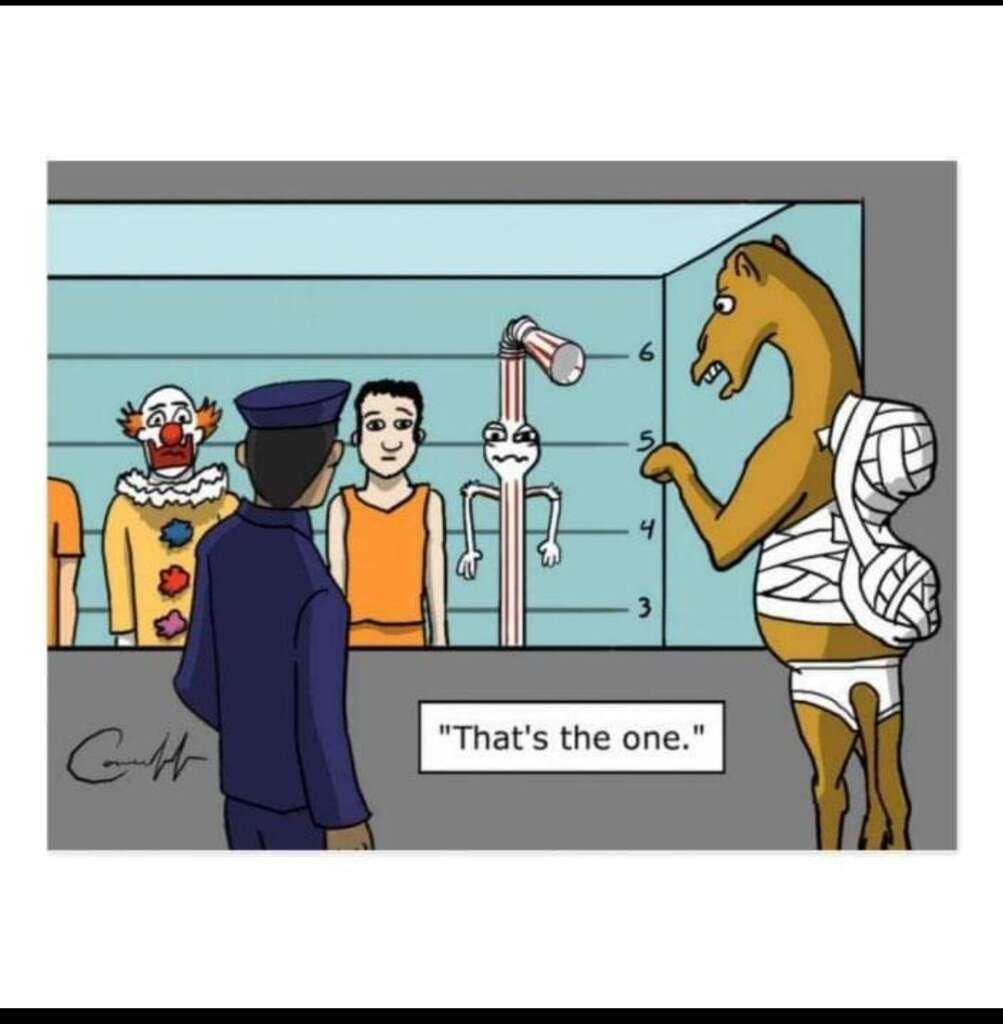 A comic illustration features a police lineup with a clown, a man, a sentient showerhead, and a camel wearing a bandage. A police officer is identifying the camel, saying, "That's the one.