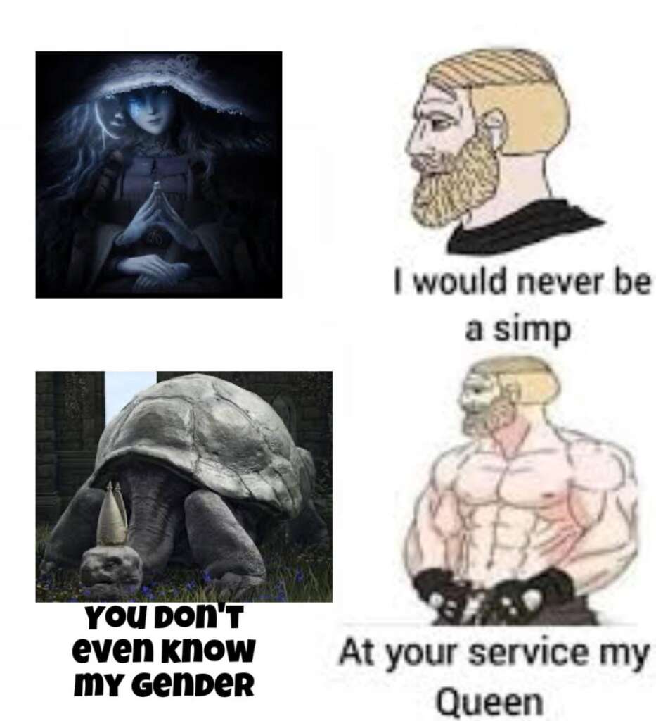 A meme featuring characters likely from video games. Top left: a mysterious figure with a hat and cloth over their eyes. Bottom left: a large turtle with a hat. Right: two muscular men, the top saying "I would never be a simp", the bottom saying "At your service my Queen".