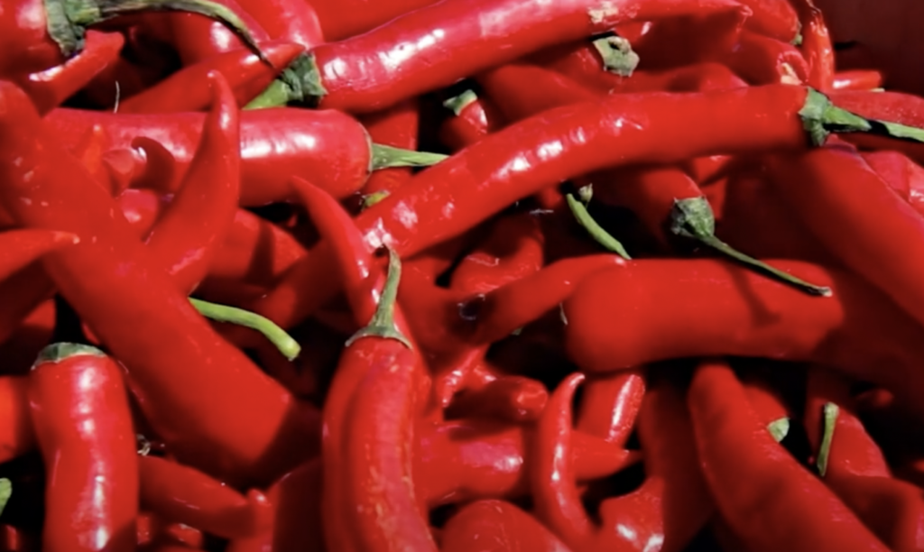 A close-up of a pile of fresh red chili peppers. The peppers are long and slender, with green stems, and are densely packed together, creating a vibrant and textured red surface.