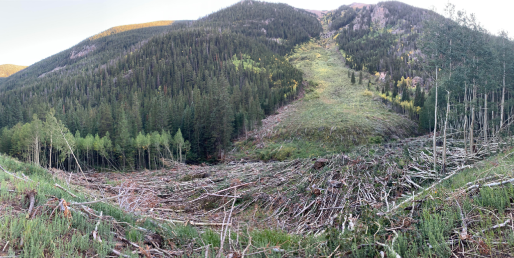 A panoramic view of a forested mountain area showing a wide swath of land where trees have been cleared, creating a path up the mountain. The cleared area is filled with fallen tree trunks and debris, surrounded by dense green pine and aspen trees.