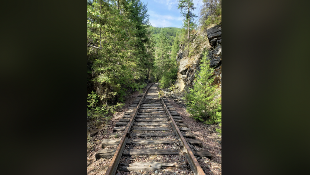 A scenic, abandoned railway track stretches into the distance, flanked by lush green trees and rocky cliffs. The wooden ties and rusted rails show signs of age, adding to the rustic and serene atmosphere of the forested area. Sunlight filters through the foliage above.