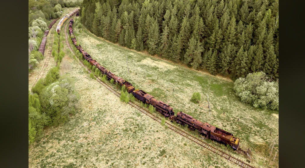 Aerial view of a long line of rusted, abandoned train cars on train tracks curving through a grassy clearing, bordered by dense trees on the right. The scene evokes a sense of decay and nature reclaiming the area.