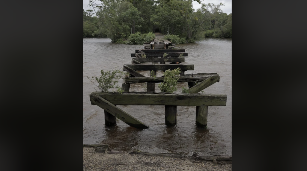 A decayed wooden bridge extends into a river, its planks missing and overgrown with vegetation. The water is murky, and trees line the riverbanks in the background under a cloudy sky, creating a scene of nature reclaiming the structure.