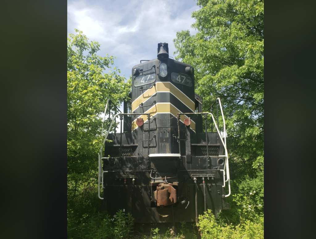 A black and yellow train engine, marked with the number 47, is captured amidst lush green foliage. The train appears stationary on the tracks, with trees and bushes partially obscuring it under a bright sky.