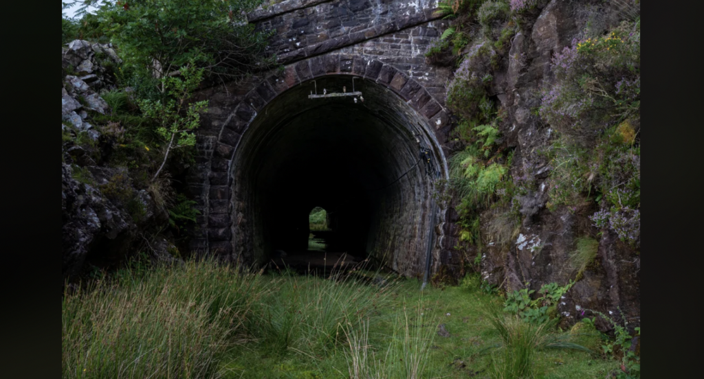 A dark, stone railway tunnel nestled in a rocky, moss-covered hillside with green vegetation around the entrance. The path leading into the tunnel is overgrown with grass and small plants. The tunnel recedes into the distance with a visible exit at the far end.