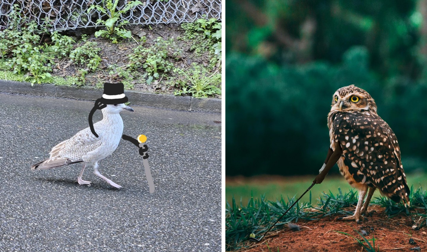 The image shows two birds. On the left, a bird with a black top hat, monocle, and cane walks on a wet surface, reminiscent of a gentleman. On the right, an owl stands on grass with one wing over a cane, appearing regal.