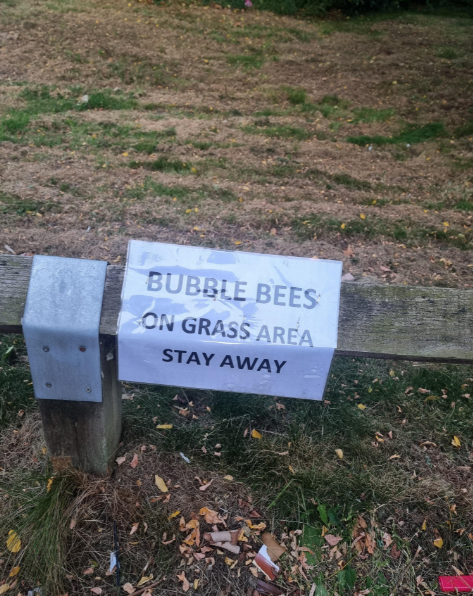 A paper sign is attached to a wooden fence in a grassy area. The sign reads, "BUBBLE BEES ON GRASS AREA STAY AWAY." The surrounding grass appears patchy and dry with some scattered leaves and debris.