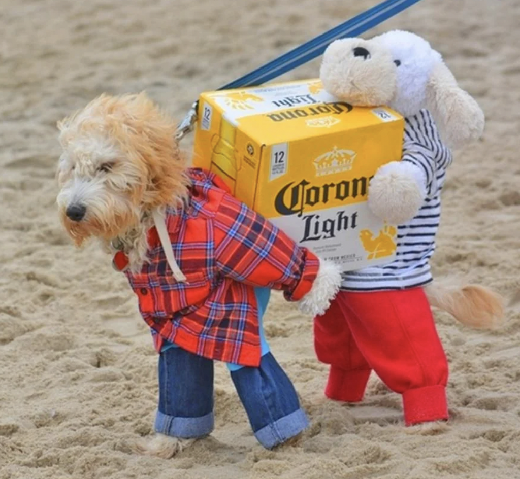 Two dogs dressed in human-like clothes appear to carry a box of Corona Light beer on a beach. The dog on the left wears a red plaid shirt and jeans, while the dog on the right wears a striped shirt and red pants. They are posed humorously as if performing a task.