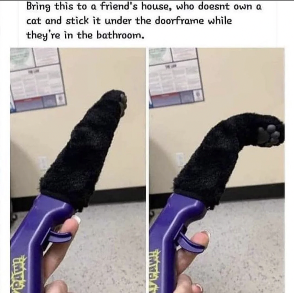 A hand is holding a purple device with a black furry attachment that looks like a cat’s paw. Text above the device humorously suggests using it to prank a friend who doesn't own a cat by sticking it under the bathroom door while they're inside.