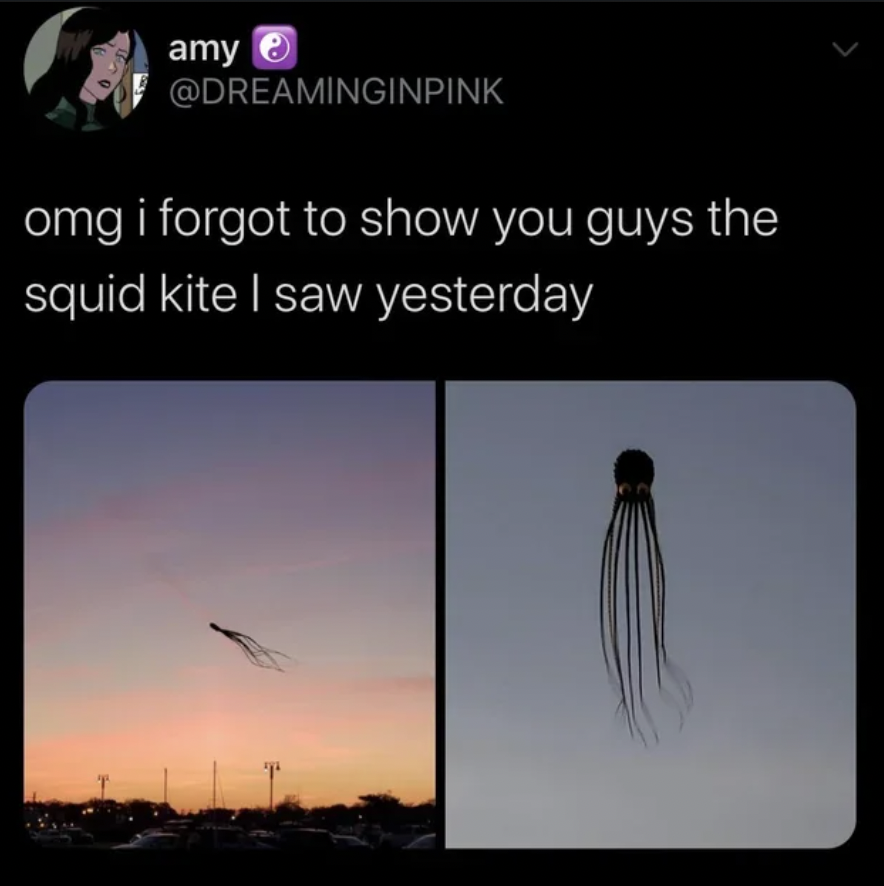 Two images show a squid-shaped kite flying in the sky during sunset. The kite has a long body with trailing tentacles. The left image shows the kite from a distance, while the right image provides a closer view of the squid kite against a colorful sky.