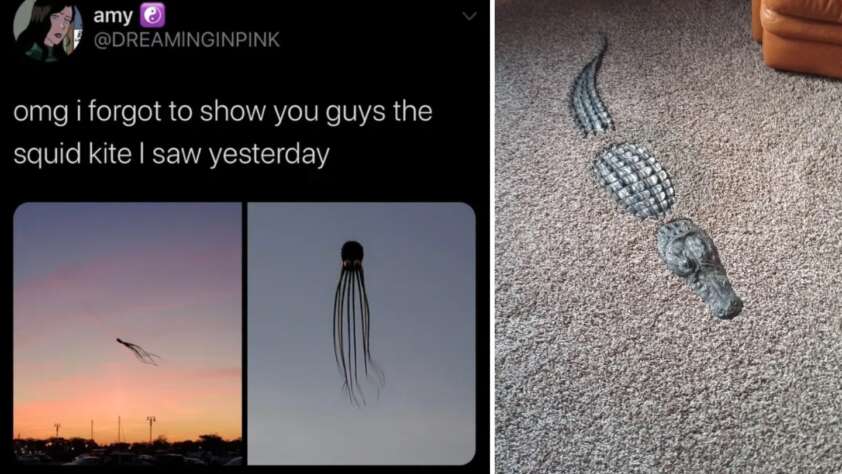 A tweet by user @DREAMINGINPINK shows two images of a squid kite flying in the sky with a caption saying, "omg i forgot to show you guys the squid kite i saw yesterday". Next to the tweet is a photo of a realistic crocodile toy on a carpeted floor.