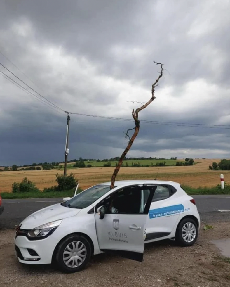 A white car with a logo on the door has a tree branch pierced through its windshield and roof. The car is parked on a rural road with a cloudy sky and fields in the background. The driver's side door is open.