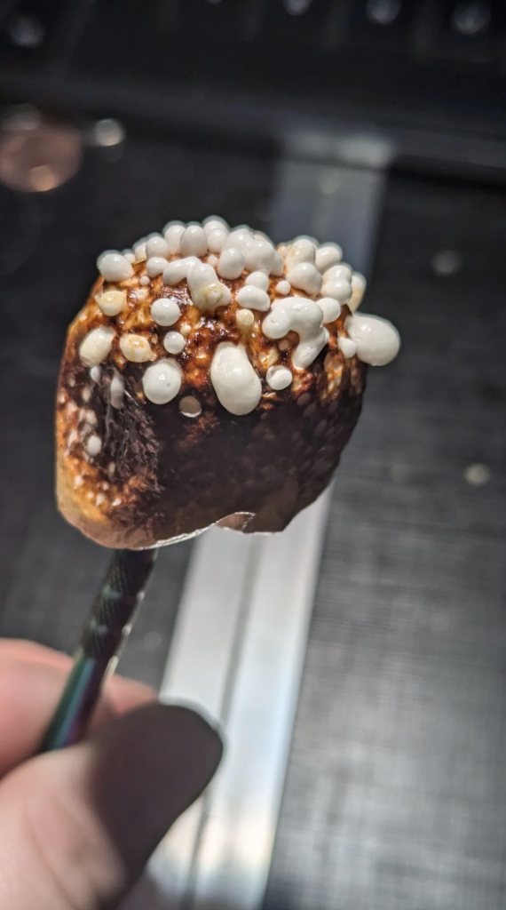 Close-up of a burnt marshmallow held by a fork. The marshmallow is topped with melted marshmallow goo, which clumps together to form bubble-like clusters. The background is out of focus, highlighting the marshmallow texture and details.