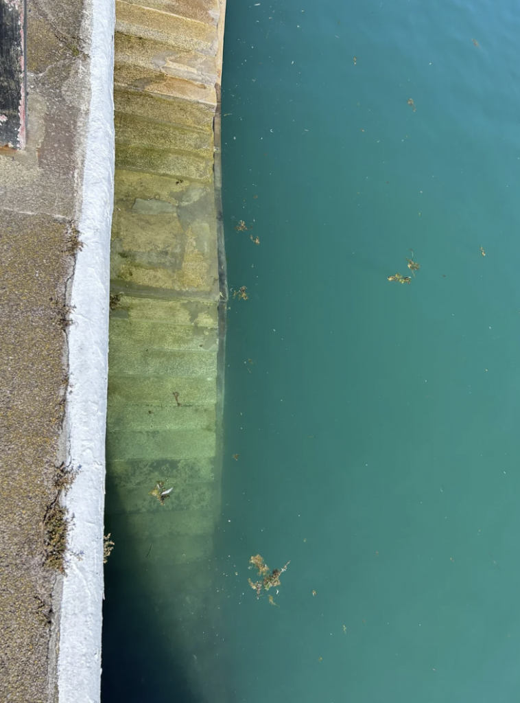 Concrete steps partially submerged in clear blue water with seaweed floating around.