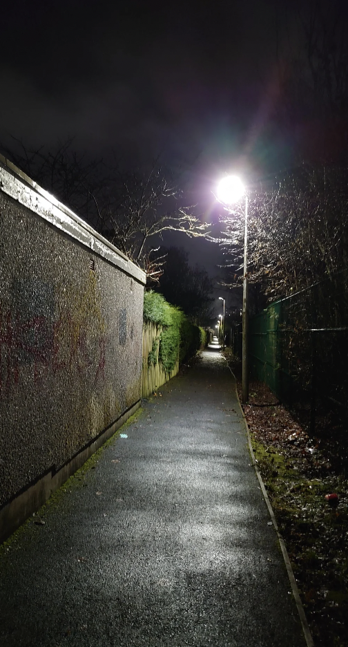 A dimly lit narrow alley at night with tall fencing covered in graffiti on the left and overgrown bushes on the right. A single streetlamp illuminates the path, casting shadows on the wet ground. The alley stretches into the dark background, flanked by bare trees.