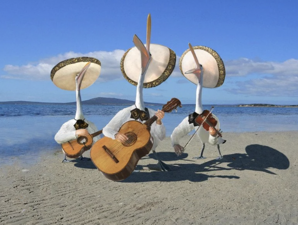 Three anthropomorphic storks dressed as mariachi musicians stand on a sandy beach. Each stork wears a sombrero, one plays a guitar, another plays a violin, and the third also plays a guitar. The ocean and a clear blue sky are in the background.