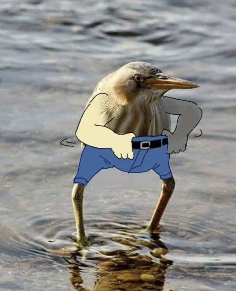 A bird standing in water, digitally edited to have human-like arms putting on blue jeans. The arms and jeans are cartoonish, contrasting with the realistic appearance of the bird.